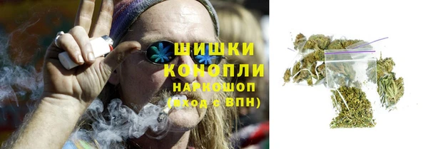 стаф Вязьма