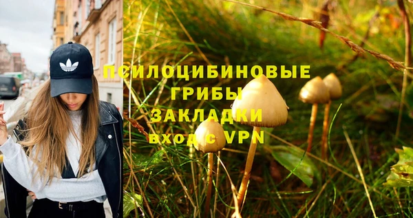 гашишное масло Горняк