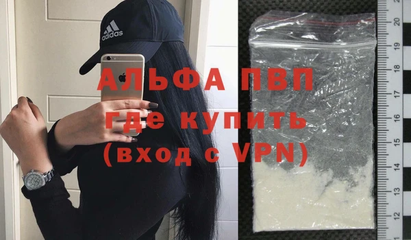 стаф Вязьма